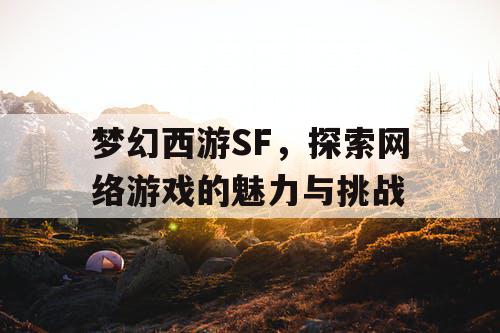 梦幻西游SF	，探索网络游戏的魅力与挑战