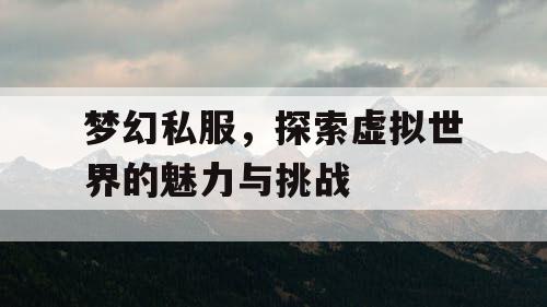 梦幻私服，探索虚拟世界的魅力与挑战