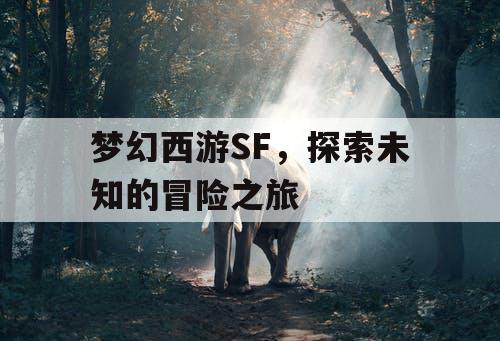 梦幻西游SF，探索未知的冒险之旅