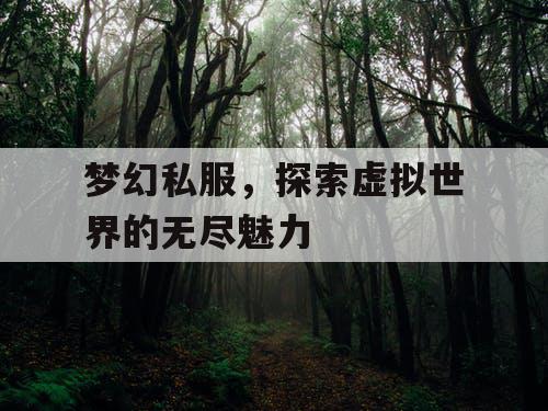 梦幻私服，探索虚拟世界的无尽魅力