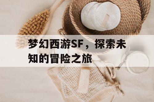 梦幻西游SF，探索未知的冒险之旅