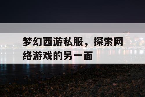 梦幻西游私服	，探索网络游戏的另一面