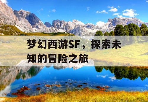 梦幻西游SF，探索未知的冒险之旅