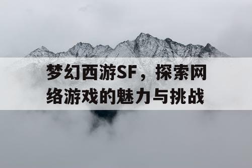 梦幻西游SF	，探索网络游戏的魅力与挑战